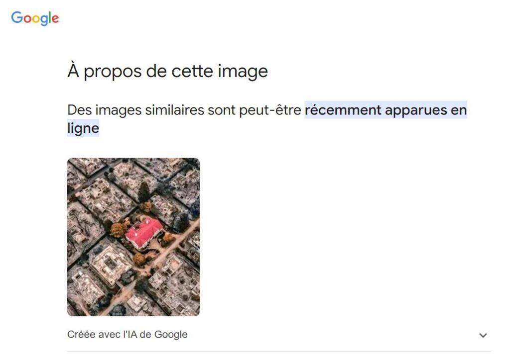 La mention "Créée avec l'IA de Google" n'apparaît que dans l'onglet "À propos de l'image" accessible grâce à une recherche par image inversée.