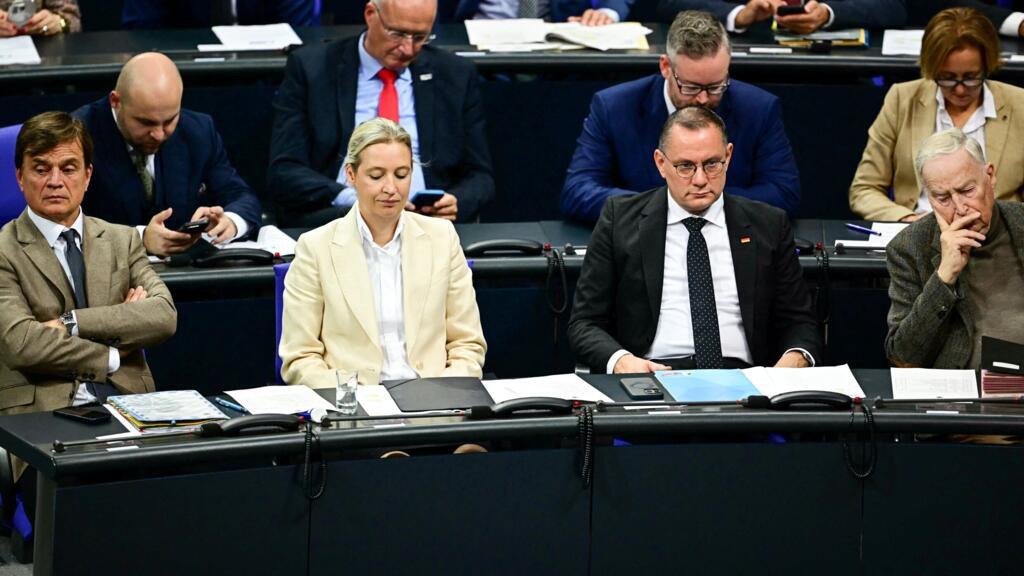 Allemagne: l'AfD accusée d'espionner pour le compte de la Russie