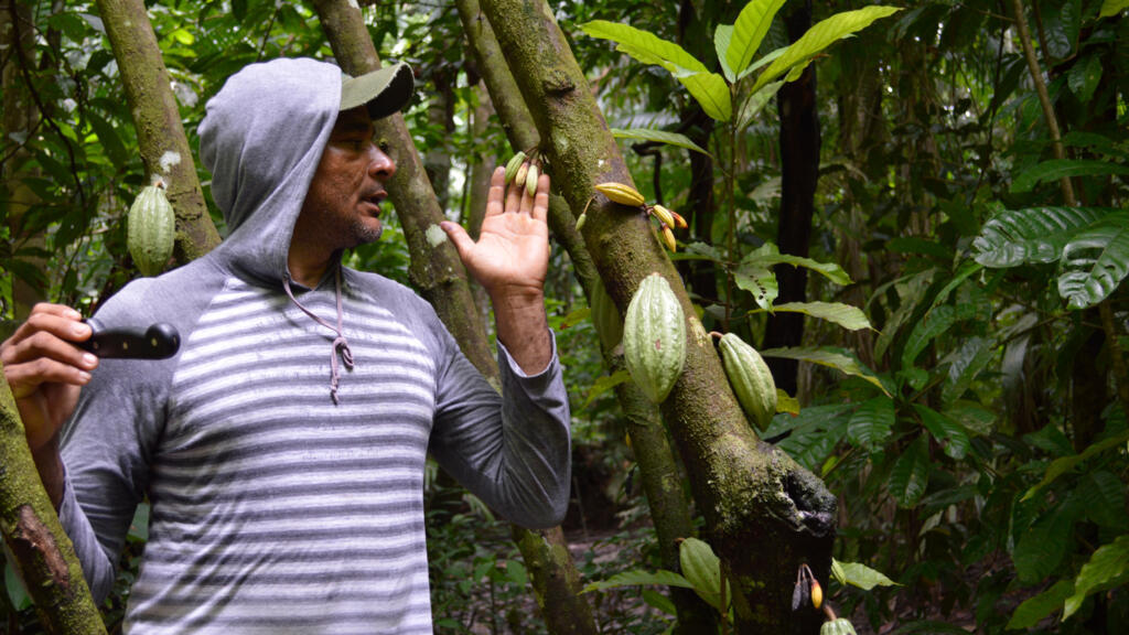 Dans la forêt amazonienne, Xiba est fier d’avoir appris à fermenter son cacao.