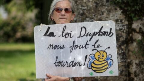 Une opposante à la loi Duplomb lors d'une visite du ministre de l'Agriculture dans le sud-ouest de la France, le 5 juin 2025.