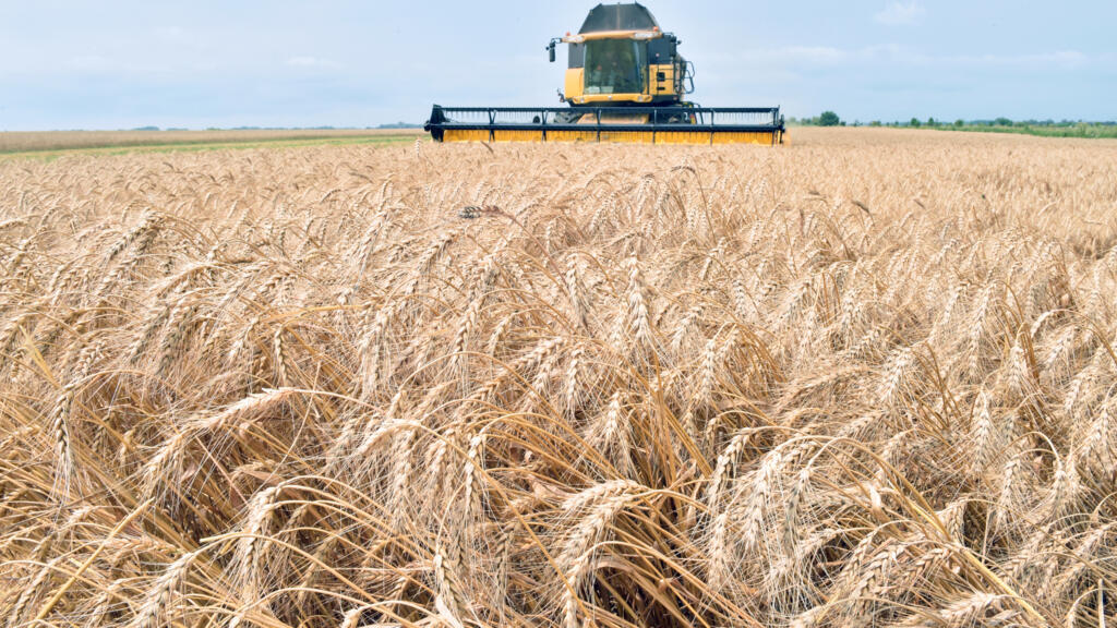 A combine harvester gathers grain from a field in the village of Mala Divytsa, Ukraine, before the war broke out.