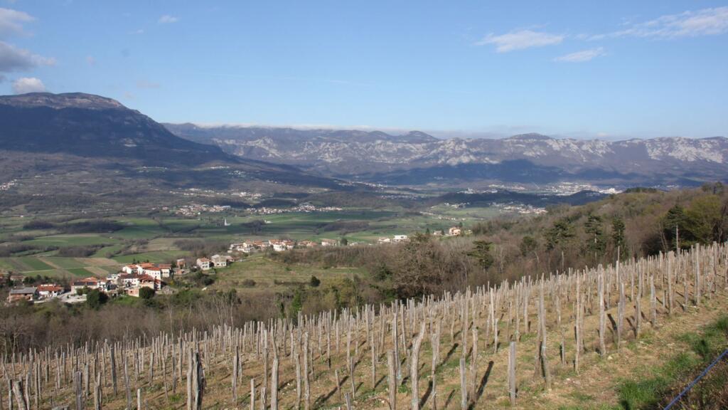 La vallée de la Vipava subit tous types de catastrophes naturelles.
