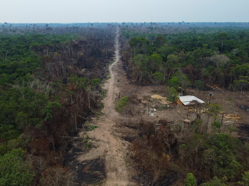 Vista aérea de área devastada em Manicoré, no Amazonas