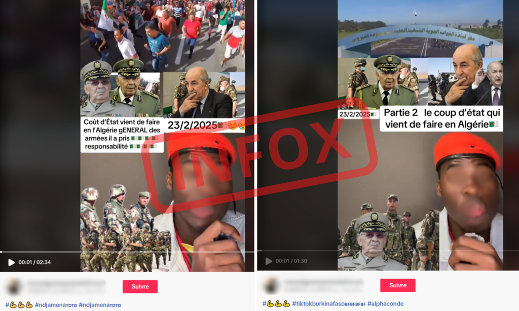 L'infox cumule plus de 600 000 vues rien que sur TikTok.