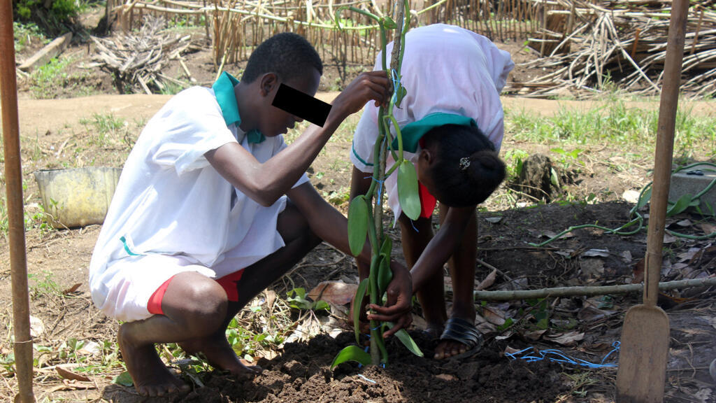 Davila et Dorien travaillaient il y a encore quelques mois dans les plantations de vanille. Au centre de formation professionnelle d'Andapa, ils retrouvent leur quotidien d'adolescents. Ici ils reçoivent un enseignement technique.