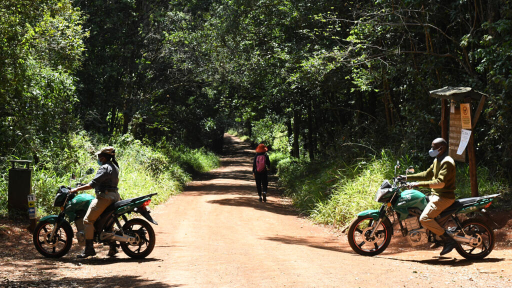 Kenya: les amis de Karura récupèrent la cogestion de la forêt
