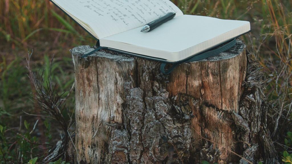 À l’heure des réseaux sociaux, le journal intime est-il toujours d’actualité ?
