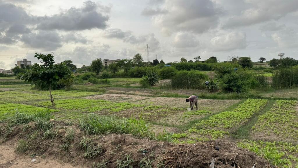 La zone maraîchère de Lendeng (Sénégal)