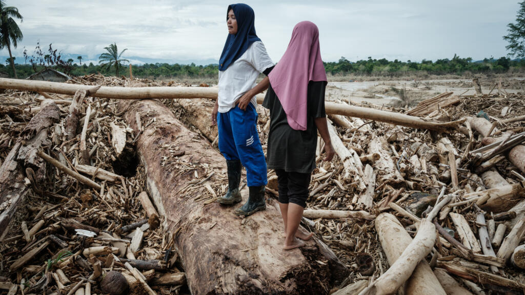 Inondations meurtrières en Indonésie: pourquoi la déforestation a aggravé la catastrophe