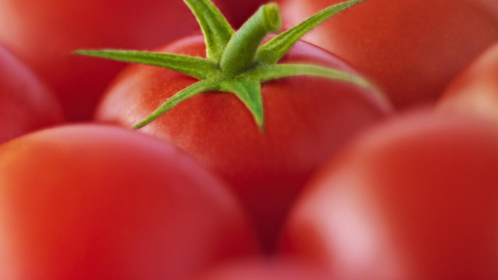 Malgré la sensibilisation et l’interdiction de l’utilisation de certaines espèces, cette pratique de l’agriculture en milieu urbain perdure.