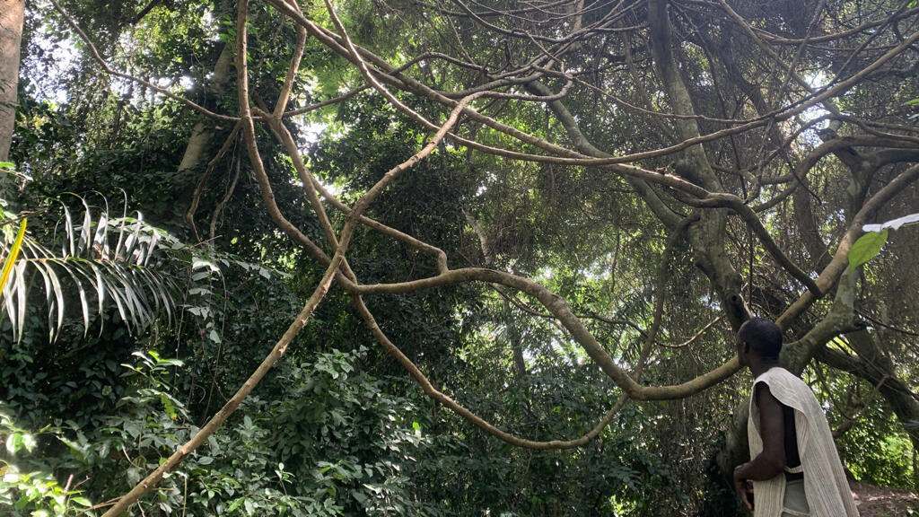 Wonlévoé.