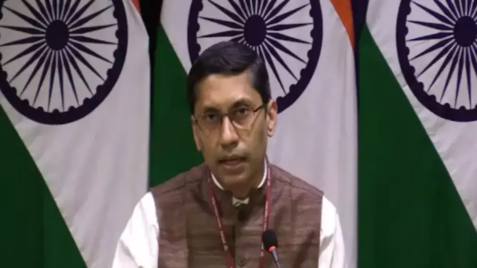 印度外交部发言人巴格奇资料图片