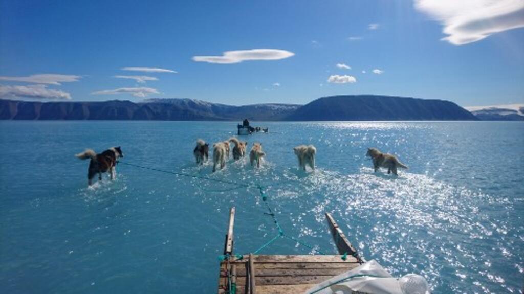 Photographie prise par le scientifique danois Steffen Olsen, le 13 juin dans le fjord d’Inglefield (Bredning), au nord-ouest du Groenland.