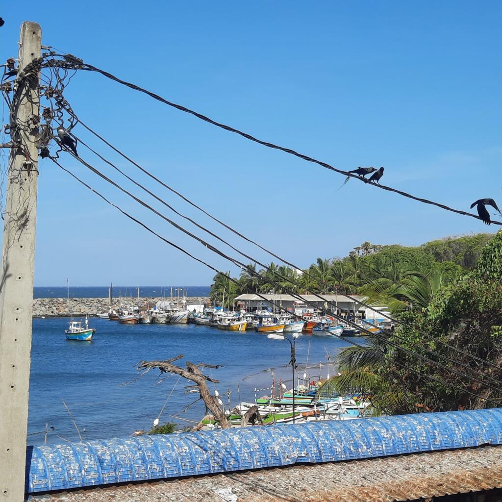 Le port de pêche d’Hambantota, délogé de l’actuel emplacement du Port International de commerce géré par une entreprise publique chinoise.