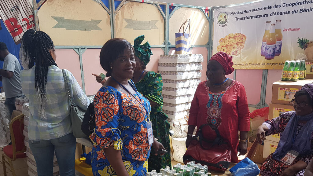 La Fédération nationale de transformateurs d’ananas du Bénin