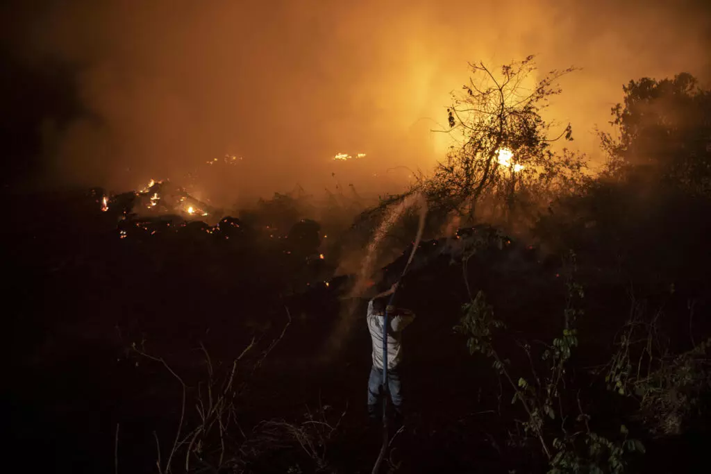 El Pantanal de Brasil - uno de los mayores humedales tropicales del mundo - está sufriendo sus peores incendios en más de 47 años.
