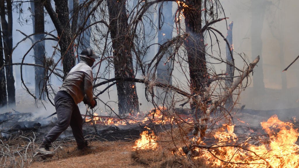 La Patagonie argentine est à son tour en proie à de terribles incendies