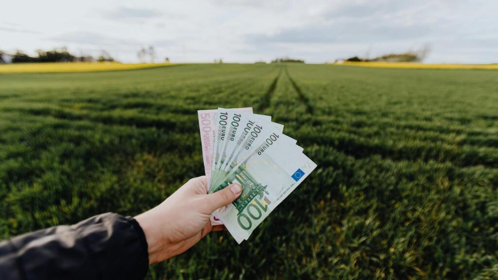 Sprijin european pentru tinerii fermieri și modernizarea fermelor în Franța printr-un acord BEI–BPCE în valoare de 200 milioane EUR.