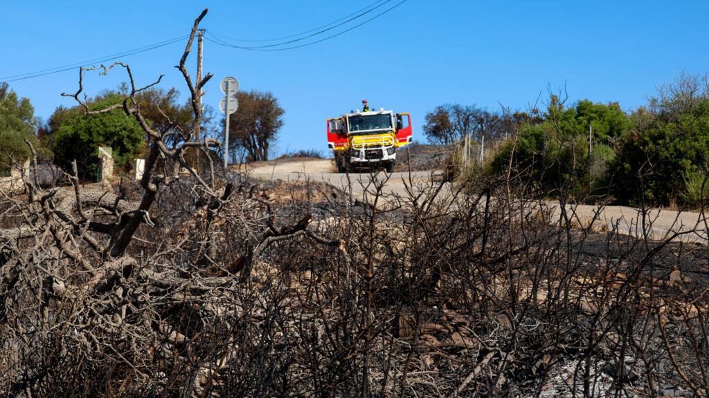 Le travail des forestiers après les incendies: laisser la nature se régénérer seule