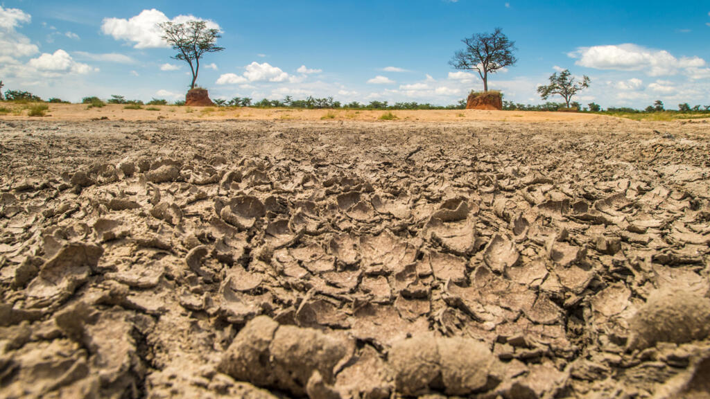 Un paysage asséché au Botswana. L'Afrique recouvre 75% des terres arides du monde.