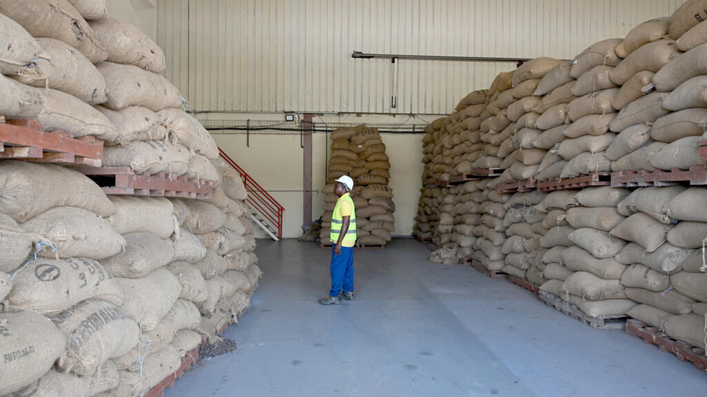 Côte d’Ivoire: le gouvernement compte racheter les stocks de cacao qui s'entassent