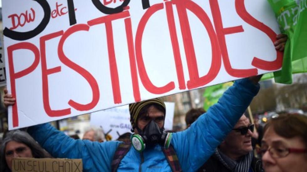 France cinq grandes villes dont Paris interdisent les pesticides sur
