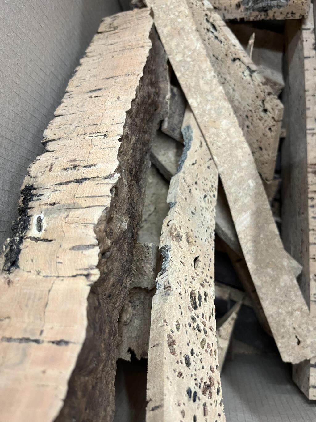 Liège et ses différents essais de coupes