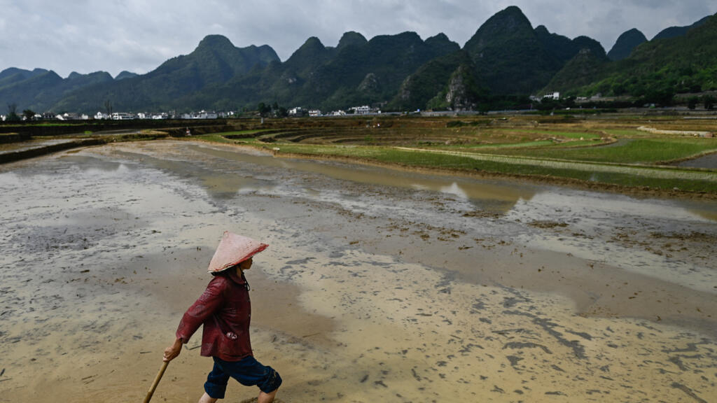 Chine: dans les zones rurales, la dépression encore largement stigmatisée