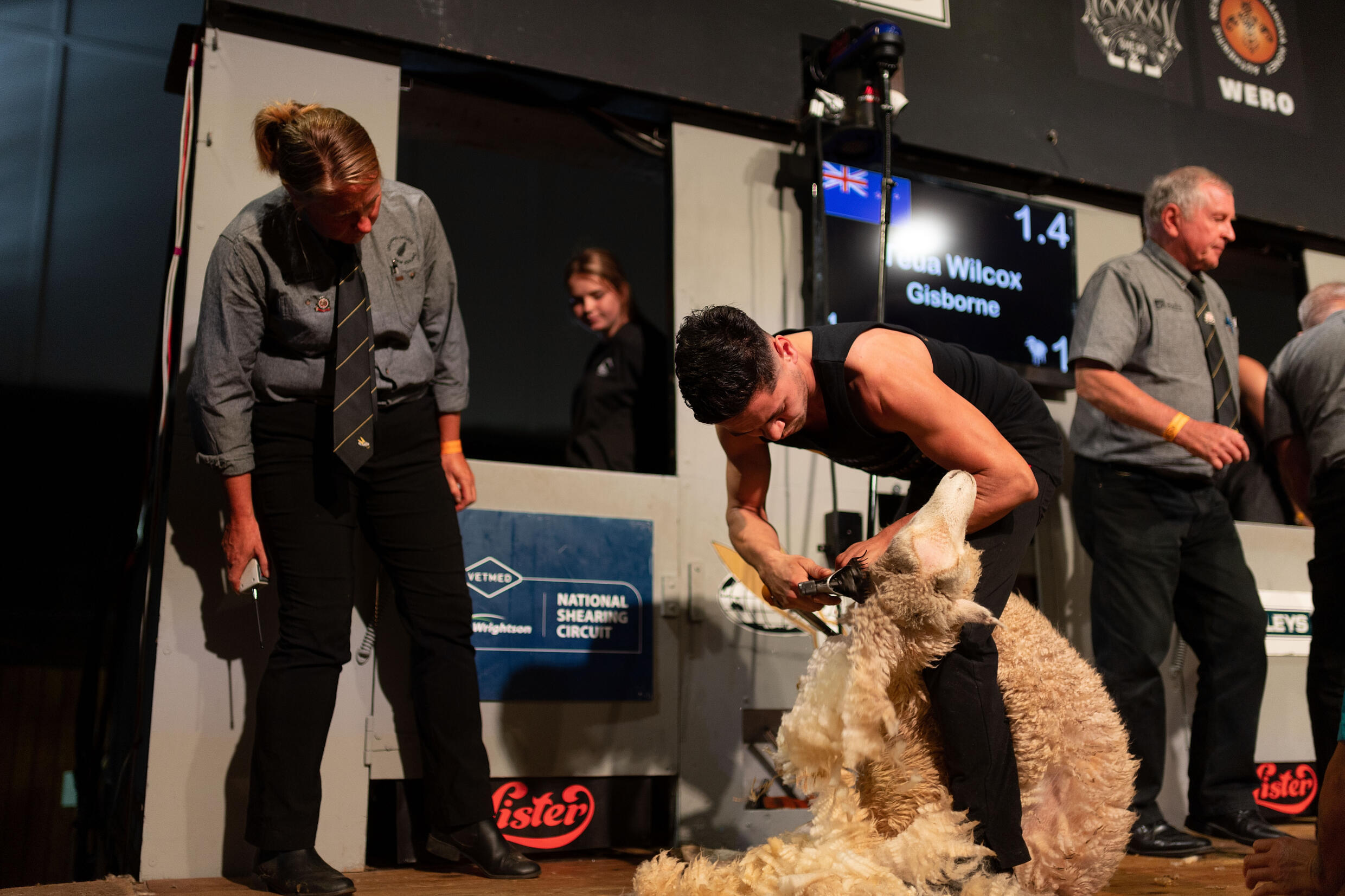 New Zealand wool handling ace is a G.O.A.T. among sheep