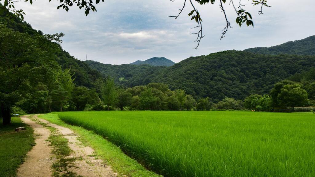 Corée du Sud: ces villages en voie de disparition