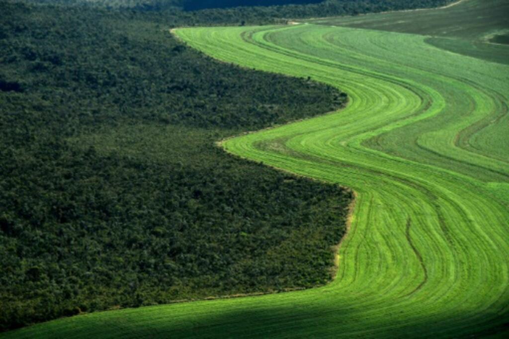 Fronteira entre o cerrado e plantações agrícolas em Formosa do Rio Preto, na Bahia. 