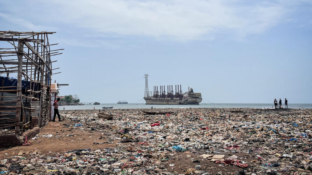 Sierra Leone: «Freetown the Treetown», reboiser contre les catastrophes climatiques [1/2]