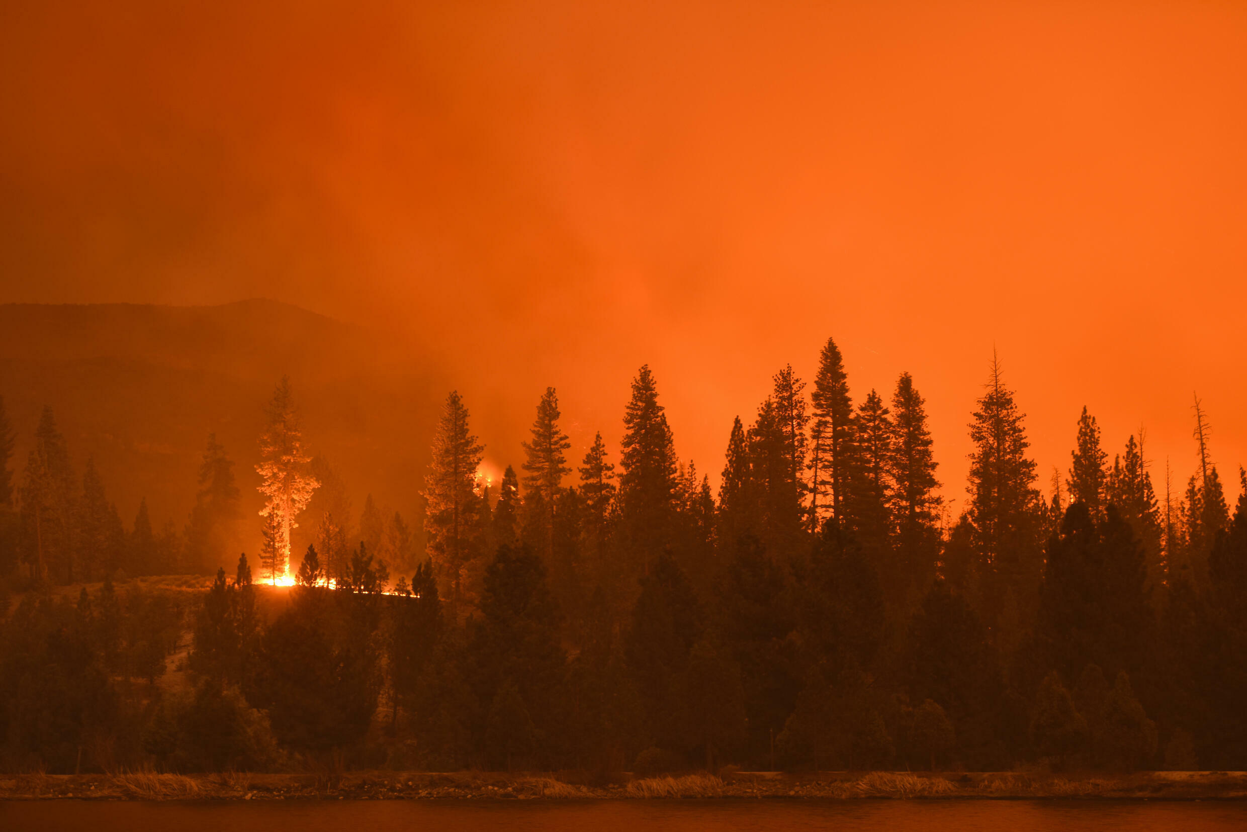 Climate Removing CO2 from the air no longer optional RFI