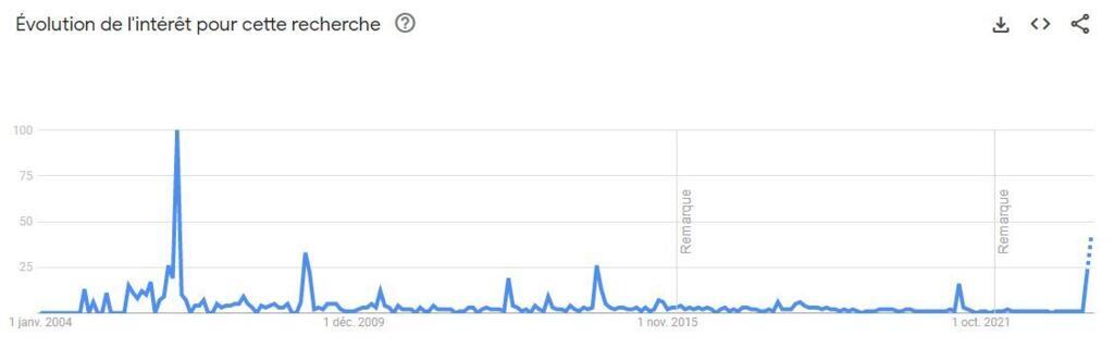 Évolution de l'intérêt pour la recherche "Pallywood" sur Google depuis 2004.