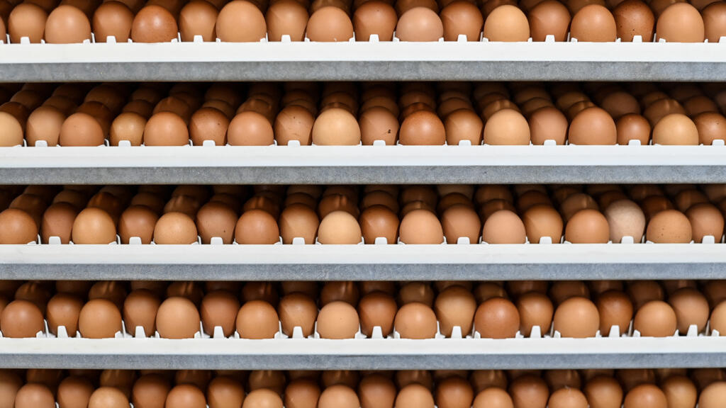 La production d'oeufs peine à suivre la hausse de la consommation