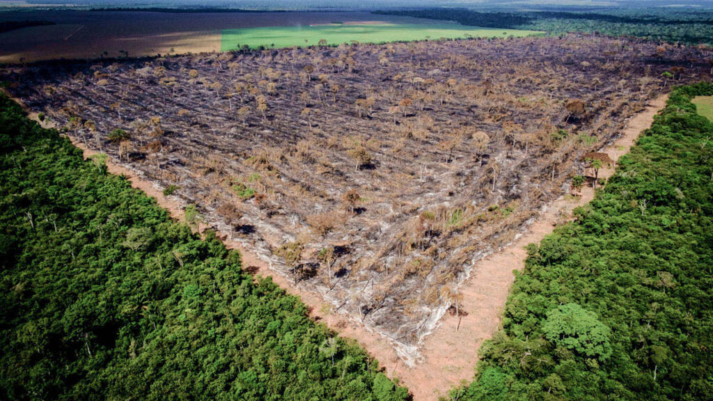 Novo Código Florestal instaurou dois mecanismos importantes para garantir a proteção das florestas e a recuperação das áreas degradadas: o Cadastro Ambiental Rural (CAR) e o Programa de Regularização Ambiental (PRA).