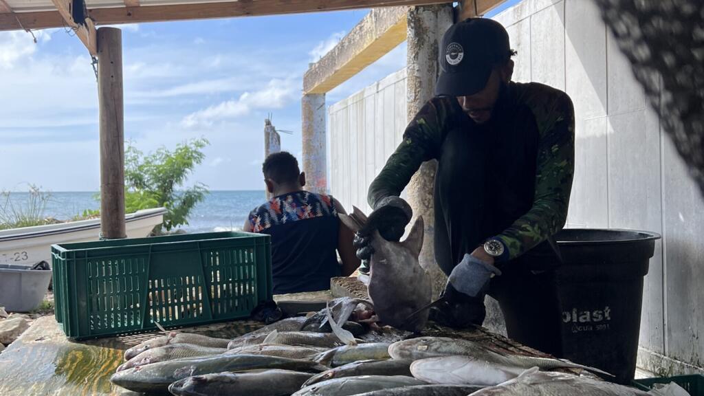 À Providencia, les pêcheurs colombiens face aux bombardements américains