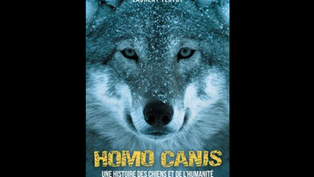 Couverture du livre de Laurent Testot, «Homo Canis, une histoire des chiens et de l'humanité», paru aux éditions Payot.