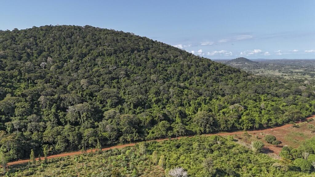 Kenya: cinq villages et une forêt au coeur de la course mondiale aux terres rares