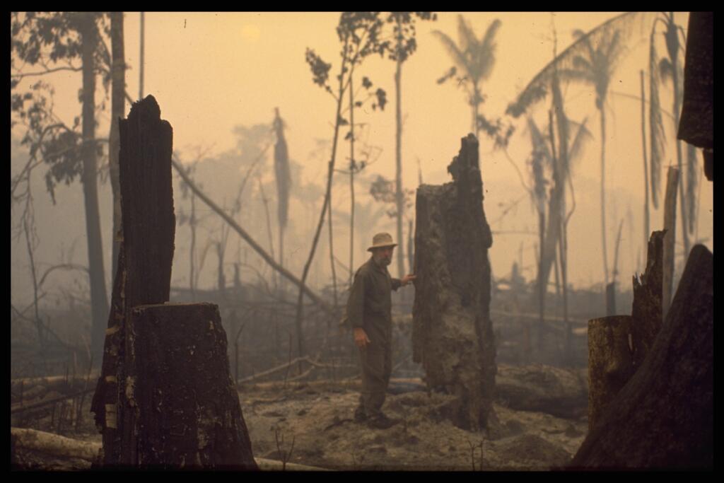 Queimadas (Incendies), Brésil, circ. 1980. Collection Association des Amis de Frans Krajcberg, Paris