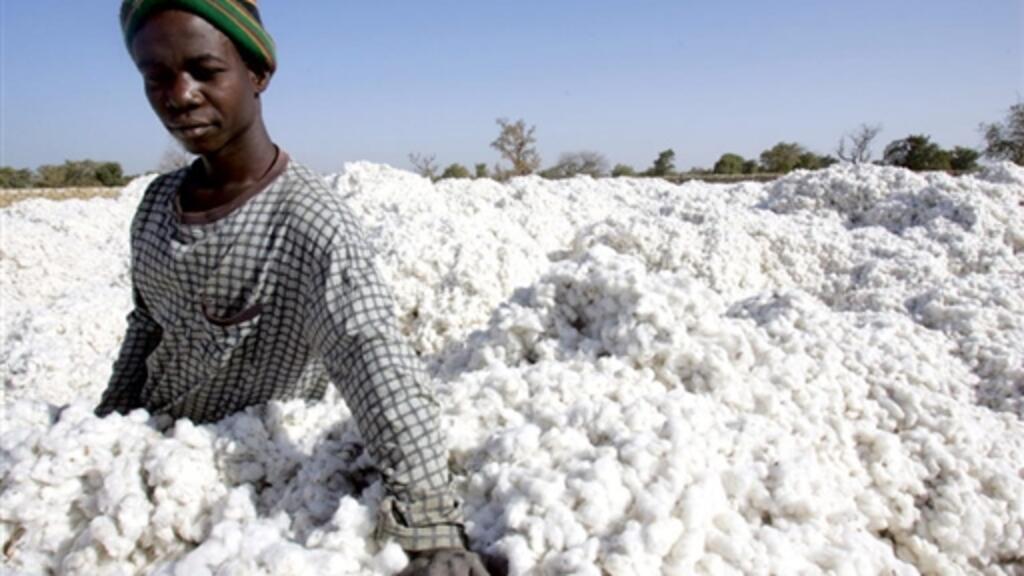 Environ 20 000 tonnes de coton seront traités chaque année dans ce complexe industriel de transformation intégrée du coton au Burkina Faso.