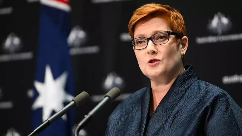 澳大利亚外长佩恩资料图片