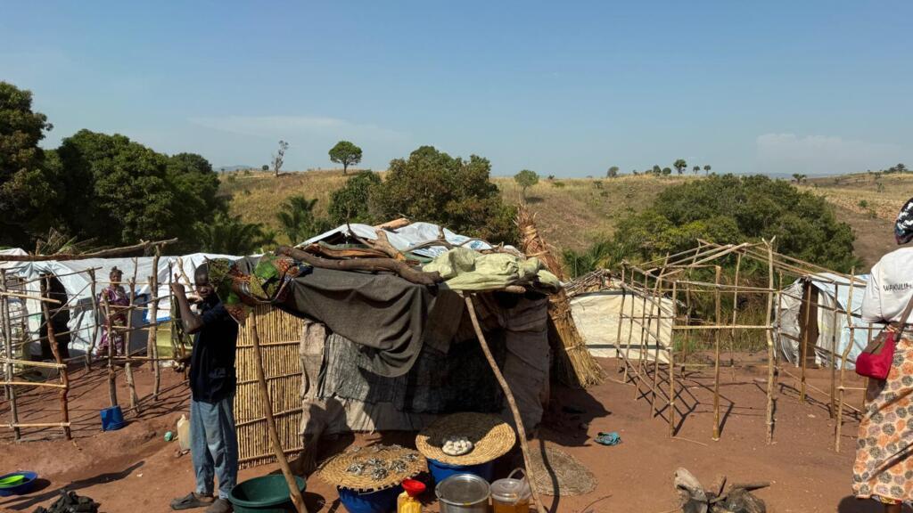 Est de la RDC: les déplacés du conflit AFC/M23 du Nord et du Sud-Kivu accueillis dans la province voisine du Tanganyika