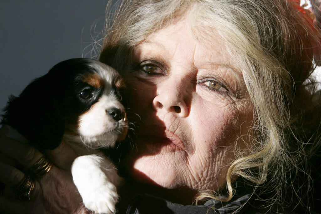 Brigitte Bardot dans un refuge pour chiens à Nice, dans le sud de la France, tenant l'un des 143 chiots saisis par les douaniers dans un fourgon hongrois, le 28 décembre 2005.