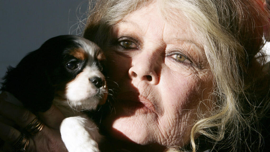 Brigitte Bardot, icono del cine y activista animalista controvertida