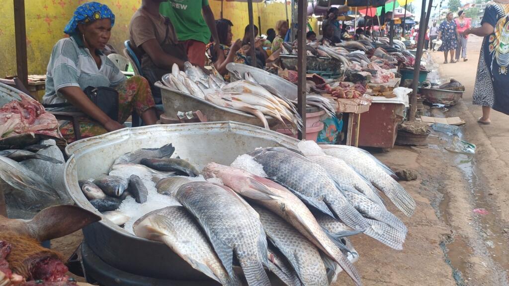 Gabon: l'absence de poisson dans les marchés questionne