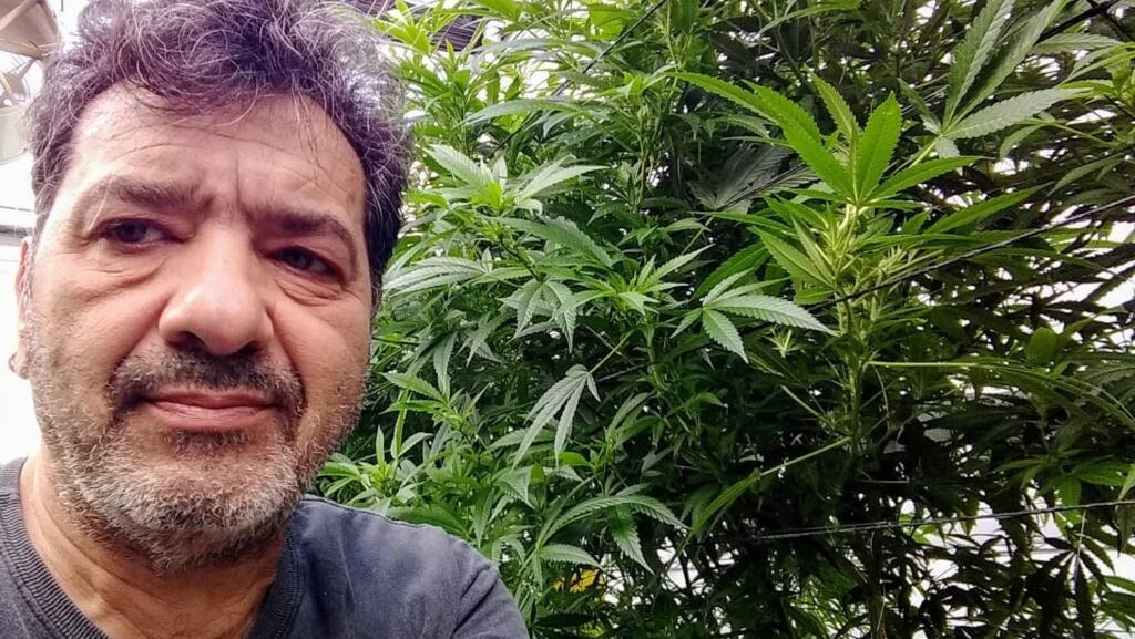 O paulistano Silvio Scol com uma planta de cannabis.