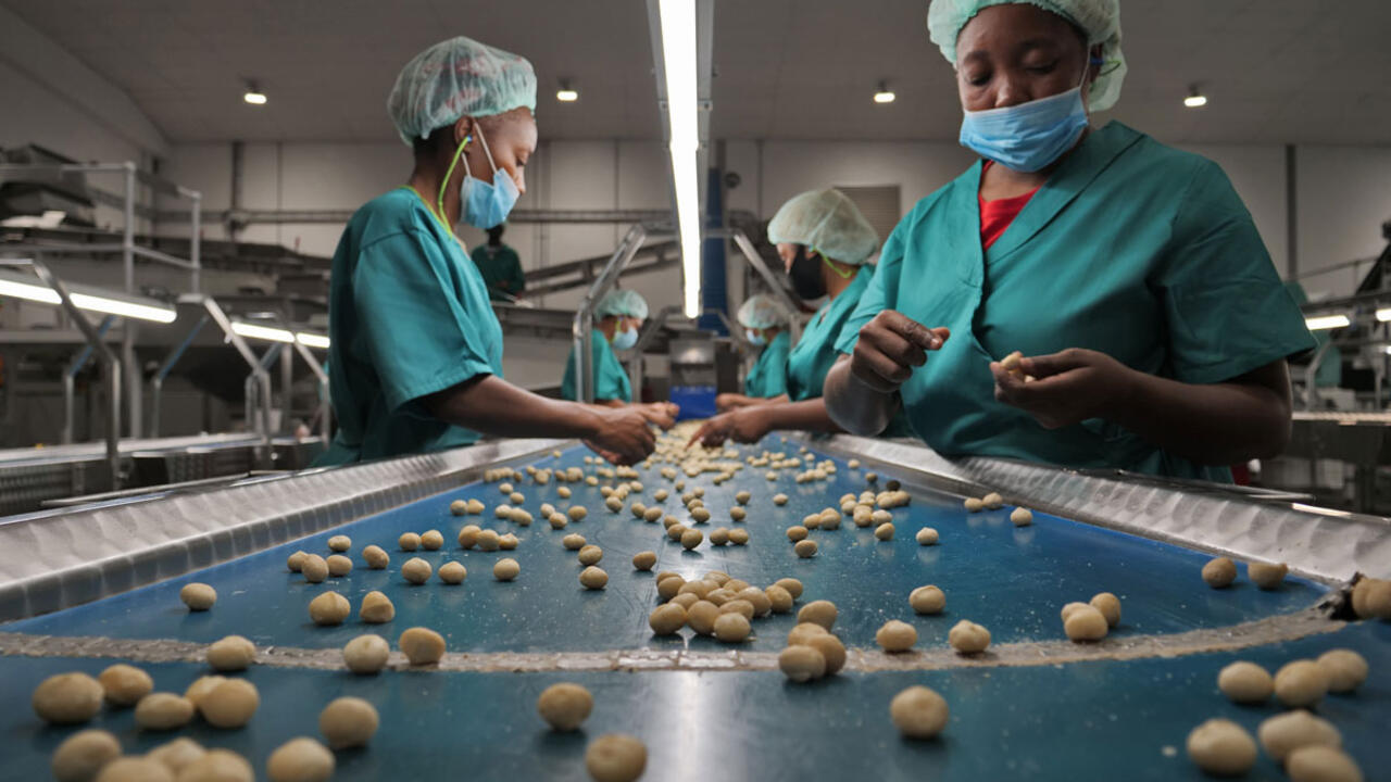 South Africa wants to maintain its rank as the world's largest exporter