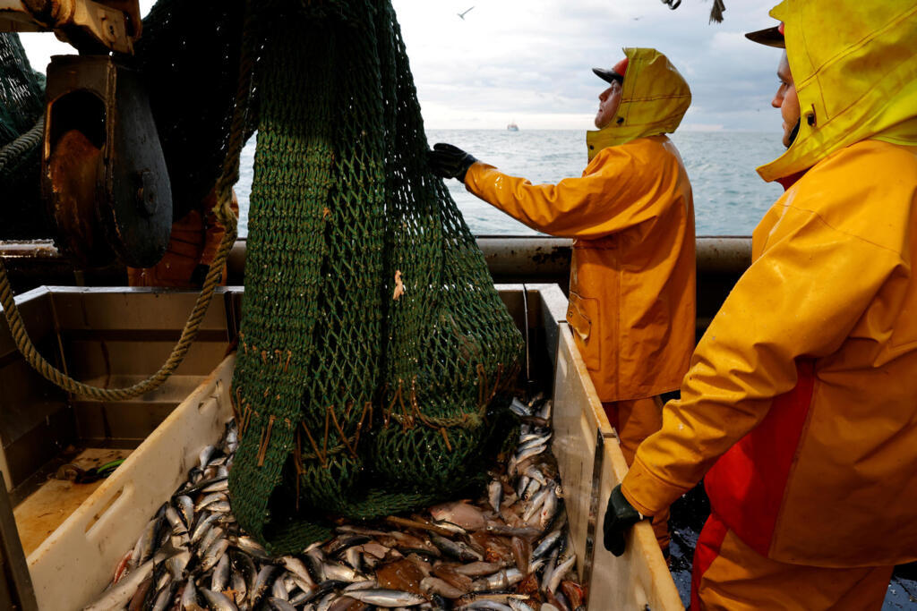 Fishermen empty a fishing net aboard the Boulogne-sur-Mer based trawler "Nicolas Jeremy" in the North Sea, off the coast of northern France, December 7, 2020. REUTERS/Pascal Rossignol/File Photo