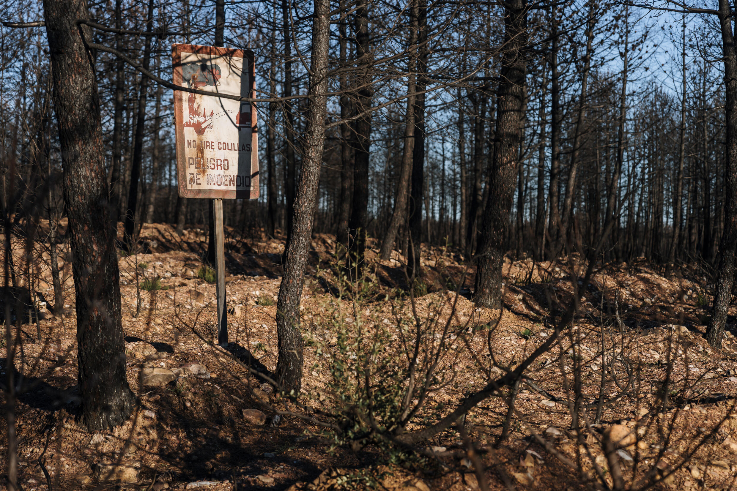 España, ante el vértigo de los incendios forestales gigantescos